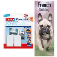 Huisdieren/dieren kalender 2022 Franse Bulldog honden 15 x 42 cm incl. 2 zelfklevende ophanghaken - Maandkalenders/jaarkalenders