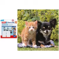 Huisdieren/dieren kalender 2022 katten/poezen en honden 30 cm incl. 2 zelfklevende ophanghaken - Maandkalenders/jaarkalenders