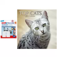 Huisdieren/dieren kalender 2022 poezen/katten ras 30 cm incl. 2 zelfklevende ophanghaken - Maandkalenders/jaarkalenders