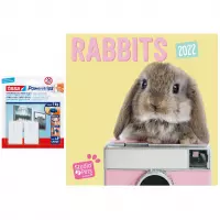 Huisdieren/dieren kalender 2022 grappige konijnen 30 cm incl. 2 zelfklevende ophanghaken - Maandkalenders/jaarkalenders