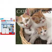 Huisdieren/dieren kalender 2022 poezen/katten kittens 30 cm incl. 2 zelfklevende ophanghaken - Maandkalenders/jaarkalenders