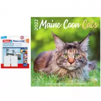 Huisdieren/dieren kalender 2022 Maine Coon katten/poezen 30 cm incl. 2 zelfklevende ophanghaken - Maandkalenders/jaarkalenders