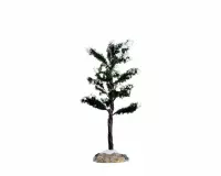 Lemax - Conifer Tree, Small uit de 2016 Collectie