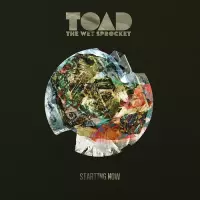 Toad The Wet Sprocket - Starting Now (CD)