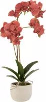 J-Line Orchidee In Pot Plastiek/Cement Dieprood/Beige