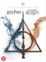 Harry Potter - 1 - 7.2 Collection + Fantastic Beasts 1 - 2 (DVD)