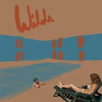 Andy Shauf - Wilds (CD)