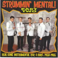 Various Artists - Strummin' Mental 2 (CD)