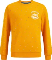 WE Fashion Jongens sweater met dessin