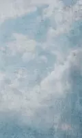 Dimex Blue Clouds Abstract Fotobehang 150x250cm 2-banen