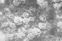 Dimex Roses Abstract II Fotobehang 375x250cm 5-banen
