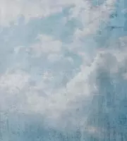 Dimex Blue Clouds Abstract Fotobehang 225x250cm 3-banen