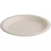 Fiesta Green composteerbare bagasse borden rond 261mm ongekleurd (50 stuks) - 50