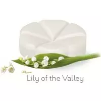 Creations Geurchips lily of the valley 10 Stuks