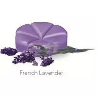 Creations Geurchips fresh lavender 10 Stuks