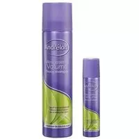 Andrelon Droog shampoo volume 100 ml