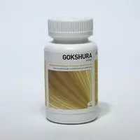 Ayurveda Health Gokshura tribulus 60 Tabletten