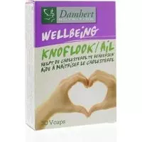 Damhert Knoflook-cholesterol supplement 30 Vegacaps