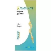 Kiemplant Kiemplant sequoia gigantea 100 ml