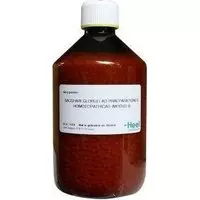 Homeoden Heel Saccharum officinalis/placebo granulen 500 Gram