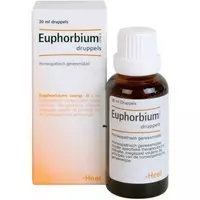 Heel Euphorbium compositum h 100 ml