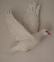 witte duif (vliegend) 28 x 7 x 29 cm