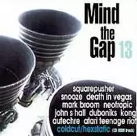 Mind the Gap Vol. 13