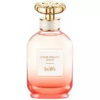 COACH - Dreams Sunset Eau de Parfum - 60 ml - eau de parfum