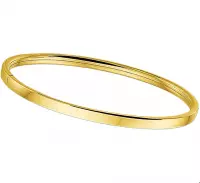 Huiscollectie Bangle Goud Scharnier Vlakke Buis 4 X 64 mm