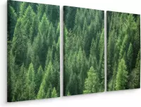 Prachtig Dennenbos, groene wanddecoratie, 3 luik, premium print