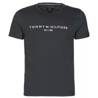 Tommy Hilfiger - Logo T-shirt Zwart - S - Modern-fit