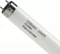 Osram L 36 W/77 fluorescente lamp G13
