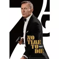 No Time To Die (DVD)