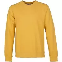 Colorful Standard - Sweater Geel - Maat M - Regular-fit