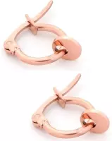 oorringen met Muntje - RVS Oorringen - Ø Ring 14 mm - Roségoudkleurig - Musthaves