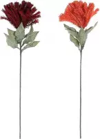 Decoratieve Bloem DKD Home Decor EVA (Ethyleenvinylacetaat) (2 pcs)