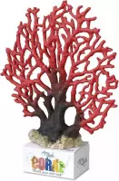 Auqa Della Coral module lace coral XL - 23,5x19,5x5,5CM