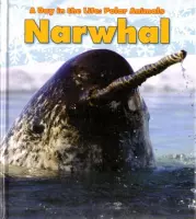 Narwhal