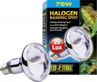 Exo Terra Sun Glo Halogeen - 75W