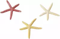 Auqa Della Starfish mix S - 10CM, LET OP PRIJS PER 1 STUKS ! GEEN KEUZE MOGELIJK !!