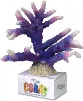 Auqa Della Coral module staghorn coral Paars L - 17x16,7x13CM