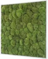 Stylegreen Verticale tuin - Pole moss - 80 x 80cm
