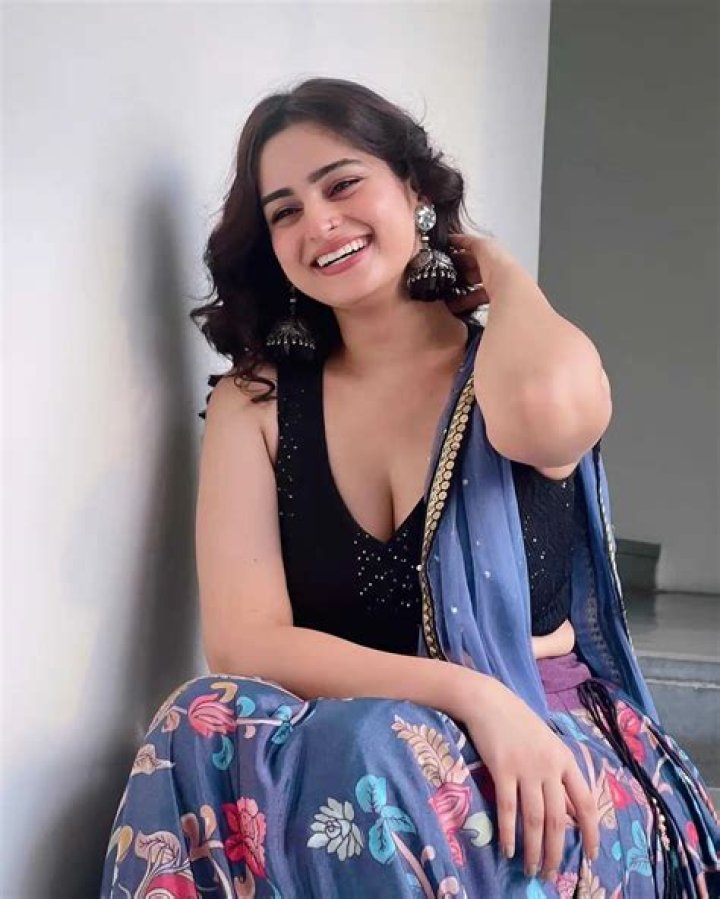 Ayesha Khan in Bigg Boss: The Journey of a Rising Star