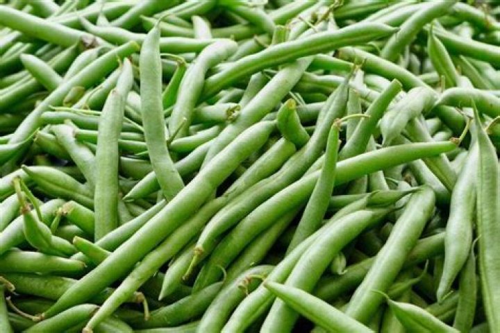 Bush Beans: The Ultimate Guide to Growing and Enjoying This Versatile Legume