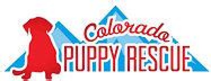 Colorado Puppy Rescue: A Lifeline for Abandoned Dogs