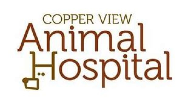Copperview Animal Hospital: Your Trusted Partner in Pet Care