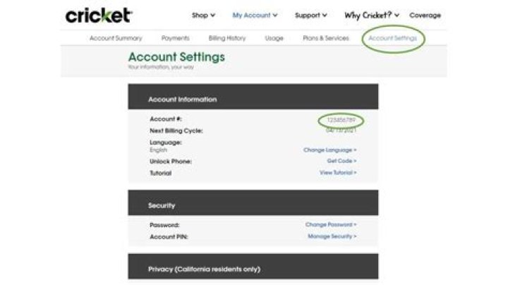 Everything You Need to Know About Cricket Phone Numbers