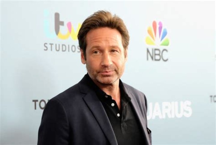 David Duchovny Net Worth 2023: A Deep Dive Into the Actor's Wealth