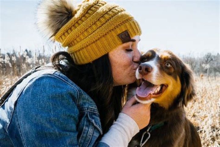 The Ultimate Guide for Dog Lovers: Everything You Need to Know