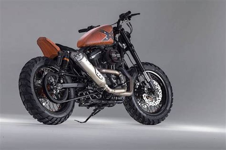 Dukes and Harley: The Ultimate Guide to the Iconic Duo